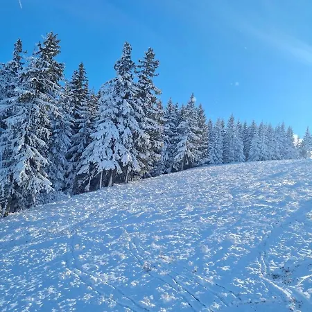 아파트 Flora Ski-slope