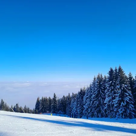 Flora Ski-slope *