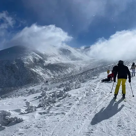 아파트 Flora Ski-slope 보로베츠