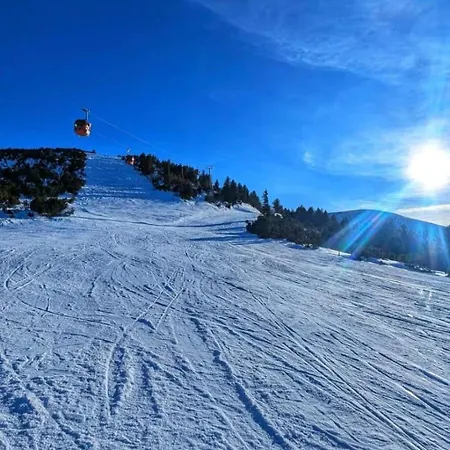 Apartament Flora Ski-slope *
