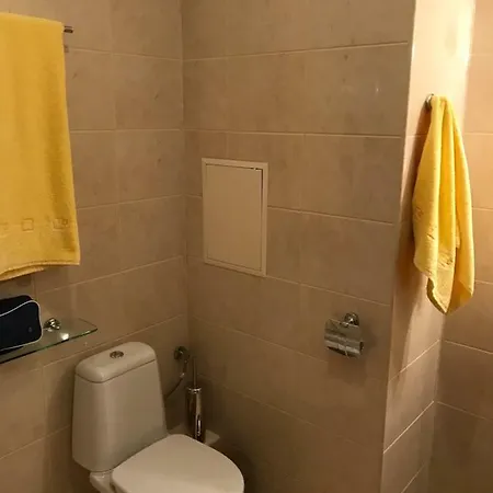 Flora Ski-slope Apartament