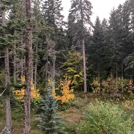 Flora Ski-slope Apartamento Borovets