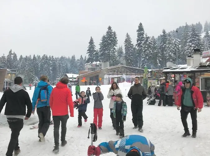 Apartamento Flora Ski-slope