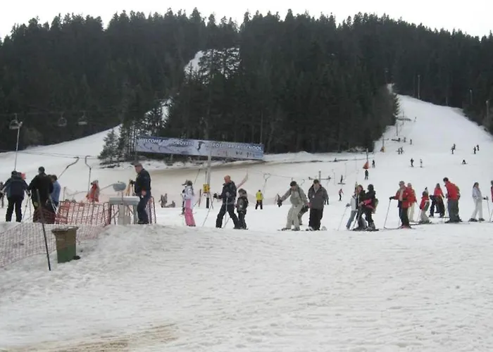 Flora Ski-slope Borovets