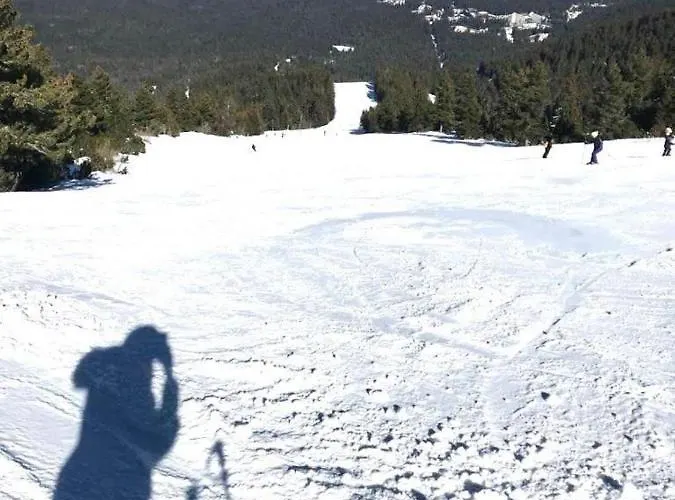 Flora Ski-slope Borovets
