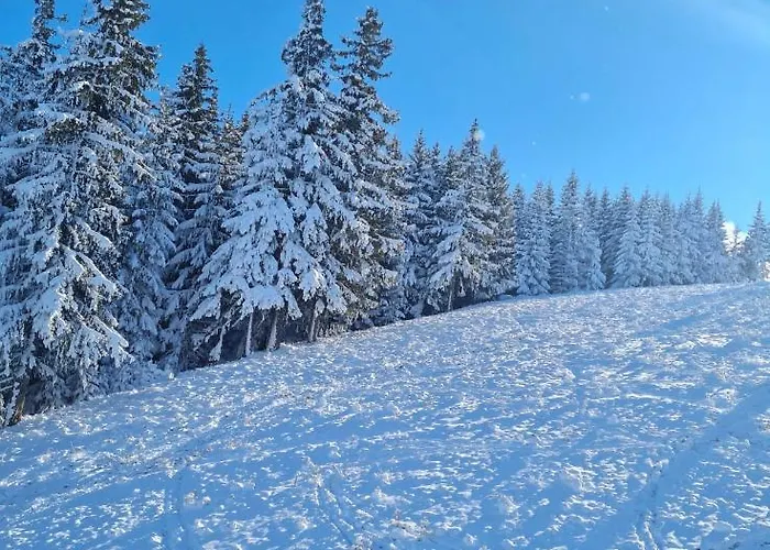 Apartamento Flora Ski-slope