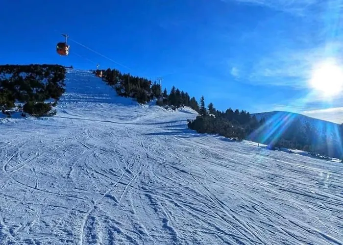 Apartamento Flora Ski-slope *