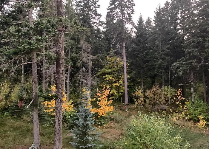 Flora Ski-slope Apartamento Borovets